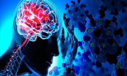 ارتباط مشکلات سلامت روان با ریسک بالاتر ابتلا به کووید ۱۹