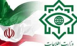 وزارت اطلاعات اعلام کرد: چند هسته‌ عملیاتی وابسته به گروهک تروریستی منافقین توسط سربازان گمنام امام زمان (عج) در استان‌های تهران، اصفهان و کردستان شناسایی و متلاشی شدند.