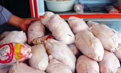 توزیع بیش از ۳۶۵۰ تن کالای پروتئینی در سیستان وبلوچستان