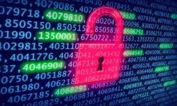 بیشترین مخاطبان بدافزارها چه کسانی هستند؟