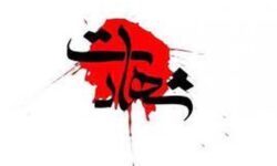 شهادت مامور مرزبانی فراجا در حین ماموریت