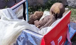 کشف مومیایی ۶۰۰ ساله در صندوق یک پیک موتوری در پرو