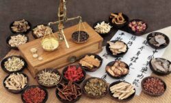 تاریخچه طب سنتی