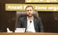 مدیرعامل سازمان منطقه آزاد انزلی در جمع فعالین اقتصادی منطقه مطرح کرد: حیات مناطق آزاد وابسته به حضور فعالین اقتصادی است