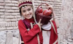 تولید 82 درصد انار آذربایجان شرقی در جلفا