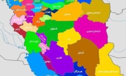 شایسته گزینی