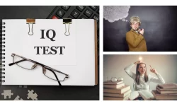 هشت وجه اشتراک افراد با بهره هوشی بالا؛ آیا بی‌آنکه بدانید عادت باهوش‌ها را دارید؟