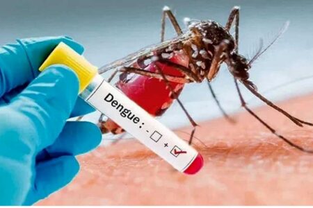 هشدار نسبت به افزایش آمار مبتلایان به تب دنگی در کشور /توصیه مهم