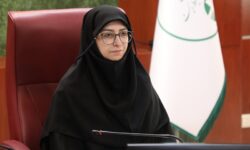 وضعیت تالاب هامون نیازمند پیگیری همه‌جانبه و در سطح کلان است