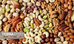 قیمت آجیل شب یلدا بر مدار تعادل