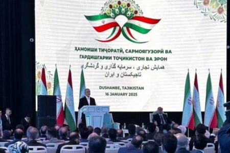 هم‌زبانی مردم ایران و تاجیکستان مزیت بزرگی برای تقویت همکاری‌های فیمابین است