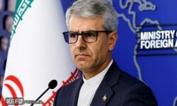بقایی: نوروز آئینی دیرینه در تمدن و فرهنگ ایرانی است
