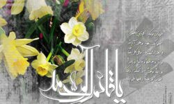 جشن باشکوه آغاز نیمه شعبان با حضور مدیرعامل و مدیران سازمان منطقه آزاد چابهار برگزار شد+عکس