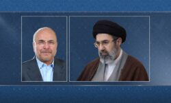 دیدار رئیس مجلس شورای اسلامی با رهبر معظم انقلاب